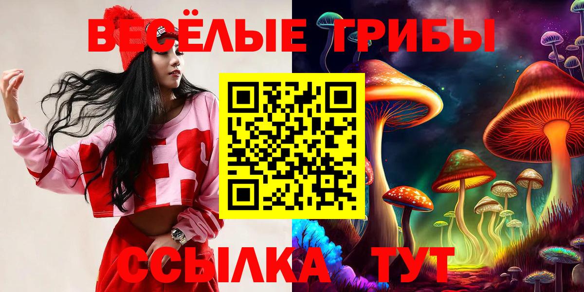 как найти   Вход с VPN  Сочи  Псилоцибиновые грибы ЛСД 